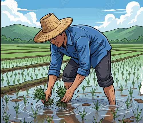 Farmer Planting Rice Seedlings in Paddy Field Vector Illustration