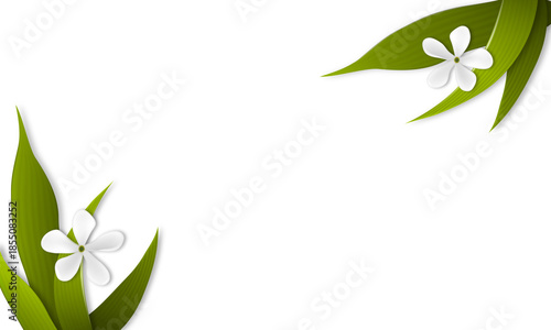 spring flower background