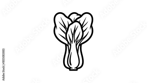 Bok Choy Outline Icon - Simple Vegetable Graphic Illustration