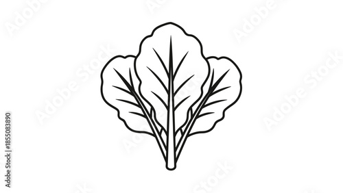 Leafy Greens Outline Icon, Fresh Salad Ingredient, Vector Illustration