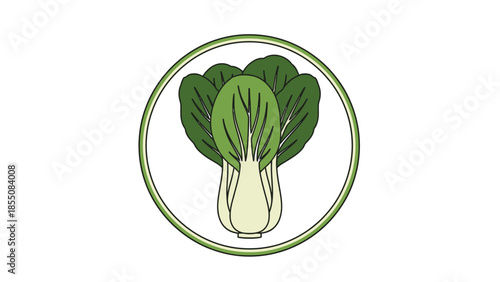 Bok Choy vegetable icon, healthy food illustration, green leafy vegetable in circle