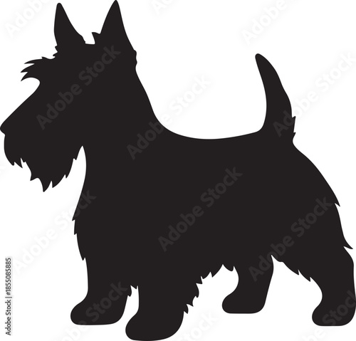 Scottish, terrier, silhouette, vector