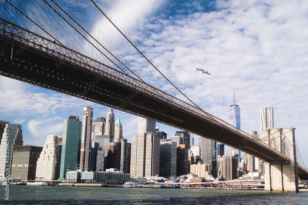 Fototapeta premium Brooklyn Winter Views