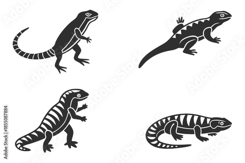 Blank vector file display