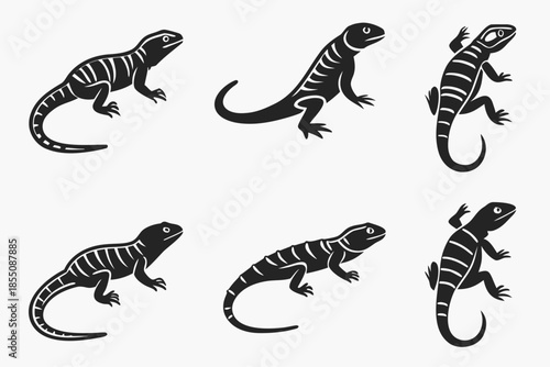 Placeholder image display