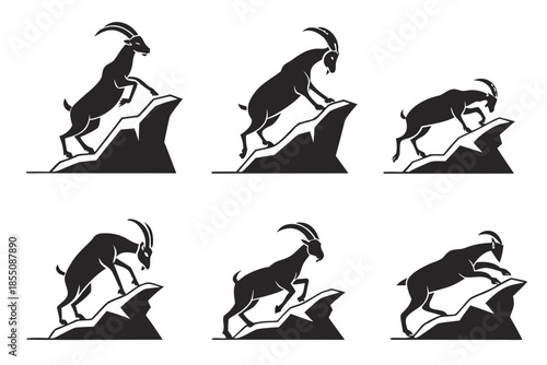 Placeholder image display