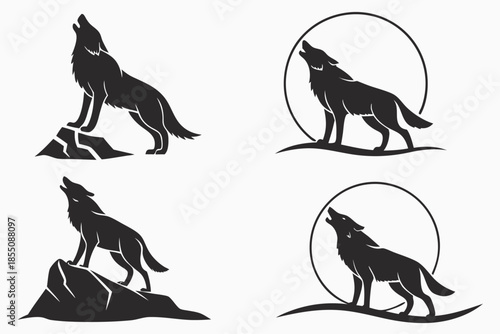 Placeholder image display