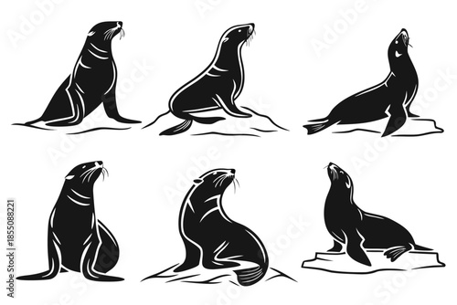 Placeholder image indicator