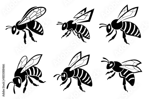 Placeholder image display