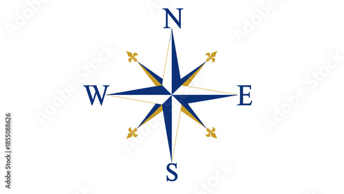 Nautical Compass Rose with Cardinal Directions and Fleur-de-lis Accents on White Background