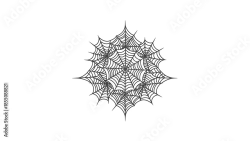 Intricate Spider Web Design, Halloween Decoration, Isolated on White