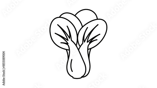 Bok Choy Outline Drawing - Healthy Food Ingredient, Simple Line Art