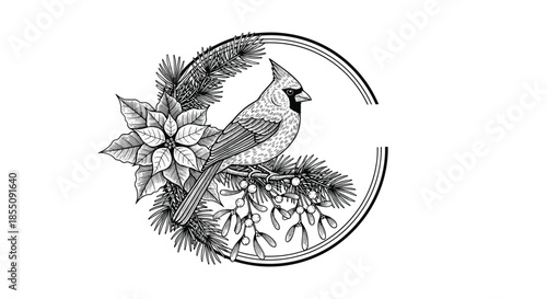 Elegant black and white illustration of a red cardinal bird perched on a pine branch with a poinsettia flower and mistletoe berries.