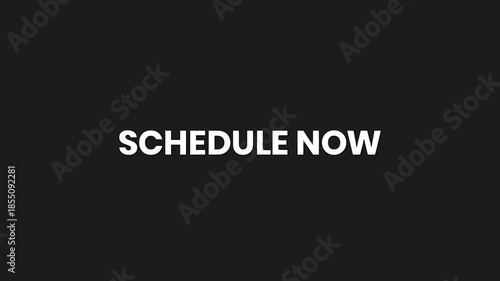 Schedule Now Minimal Particle Text Animation 4K Appointment Booking Prompt for Business Services