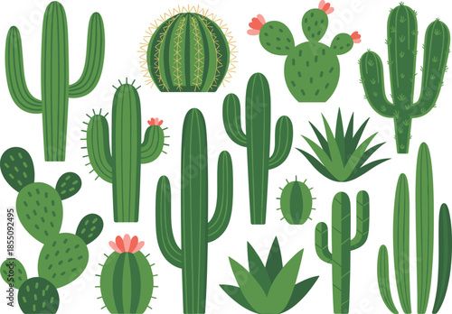 Flat vector illustration set of green cactus plants, desert succulents collection, botanical nature elements, minimal design style