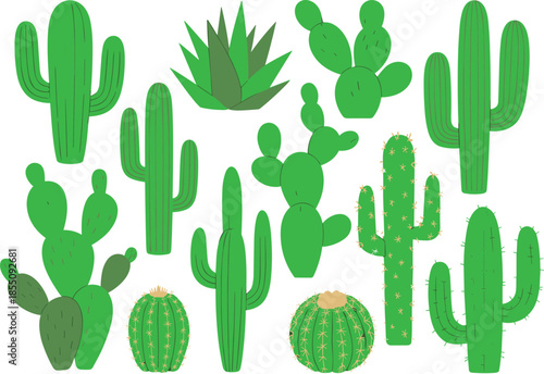 Flat vector illustration set of green cactus plants, desert succulents collection, botanical nature elements, minimal design style
