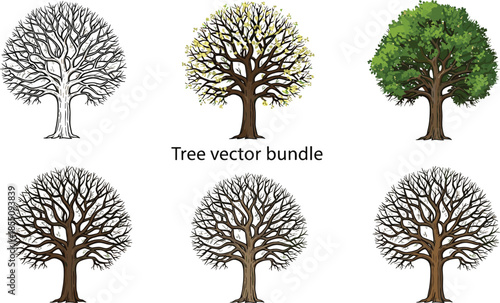 Five Different Seasonal Trees in Style autumn winter