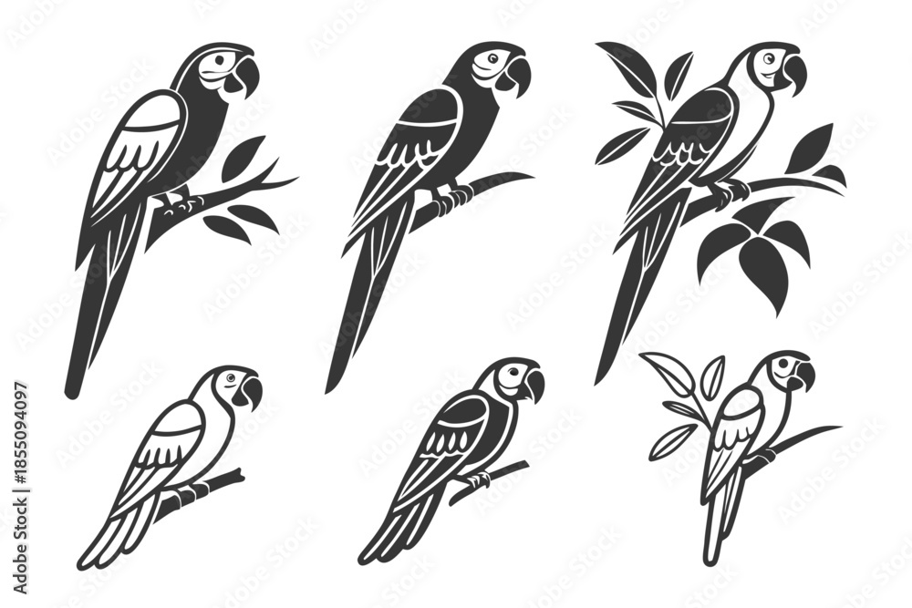 Fototapeta premium Placeholder image display