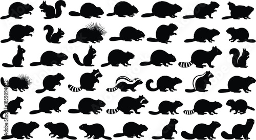 Rodent and small mammal silhouettes set featuring squirrel beaver raccoon porcupine isolated black vector wildlife illustration collection