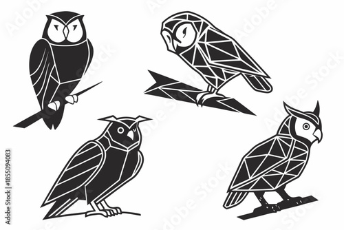 Placeholder image display