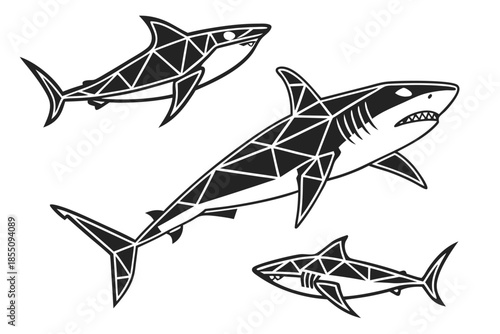 Placeholder image display