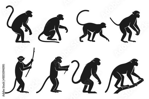 Placeholder image display