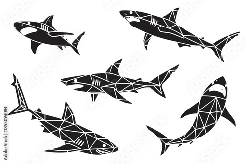 Placeholder image display