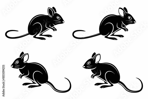 Simple vector file display