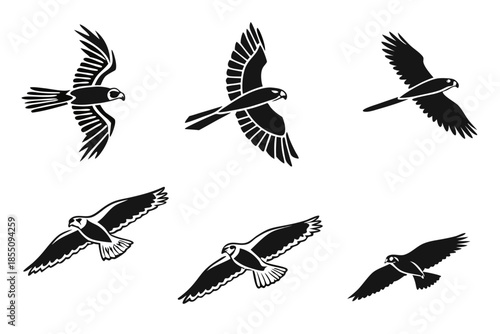 Placeholder for vector file