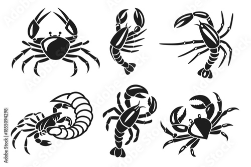 Placeholder image display