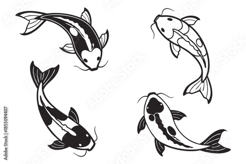 Placeholder image display