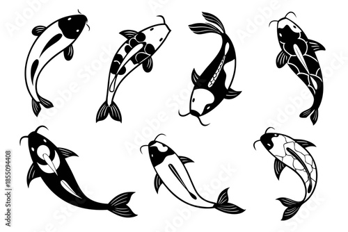 Placeholder image display