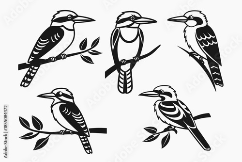 Placeholder image display