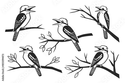 Placeholder image display