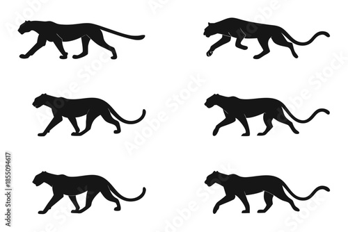 Placeholder image display