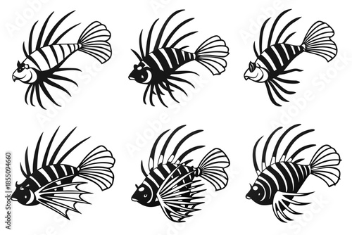 Placeholder image display