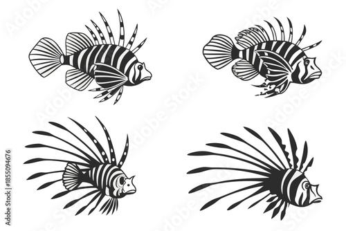 Placeholder image display