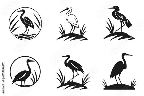 Placeholder image display