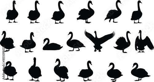 Silhouettes of Geese and Swans in Various Poses and Positions black white