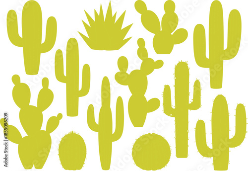 Flat vector illustration set of green cactus plants, desert succulents collection, botanical nature elements, minimal design style