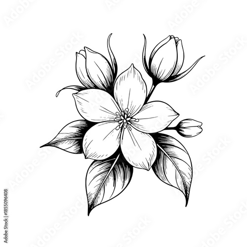 Silhouette of a curious young boy standing near a bare tree observing a small bird perched peacefully upon one of its dark branches against a vibrant royal blue backdrop.