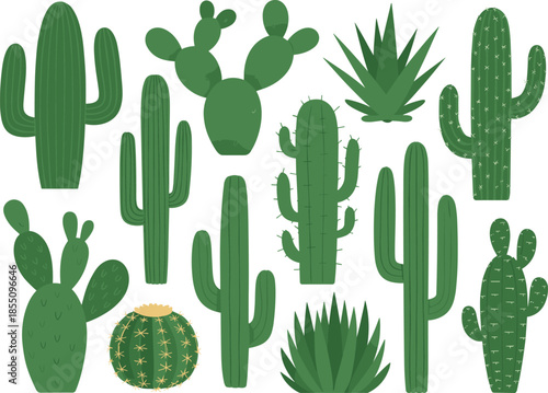 Flat vector illustration set of green cactus plants, desert succulents collection, botanical nature elements, minimal design style