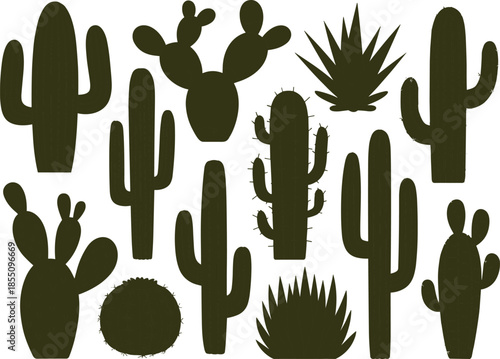 Flat vector illustration set of green cactus plants, desert succulents collection, botanical nature elements, minimal design style