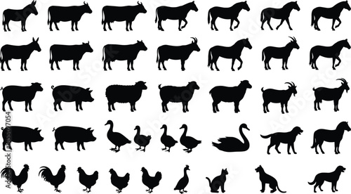 Farm animal silhouette illustration mega collection with cows horses pigs goats sheep poultry pets black white vector icons