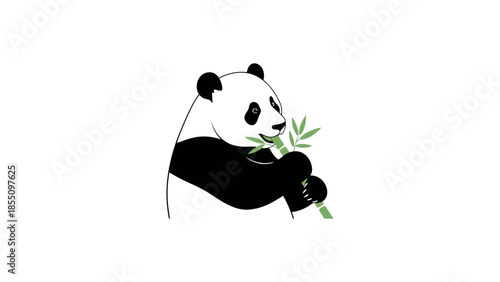 A panda eats bamboo on a white background.