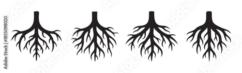 Four distinct plant roots silhouettes illustrating growth and development, representing strength, stability, and natural organic structures in a graphic style.