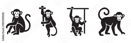 Four black silhouette monkey illustrations in various poses showcasing different actions like sitting, climbing, hanging, and walking, representing primate behavior.