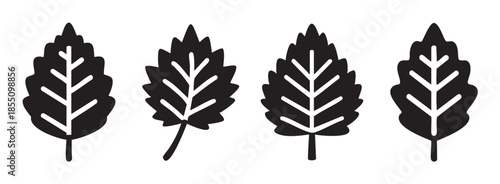 Four stylized black leaf icons with white veins are arranged horizontally, representing nature, growth, and eco-friendly concepts in a simple graphic design.