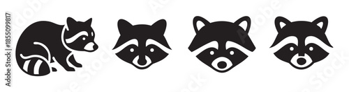 Four stylized raccoon illustrations and graphic head icons showcasing various minimal designs suitable for logos, emblems, or digital art projects.