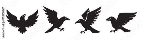 Four ravens flying with spread wings, depicted as black silhouettes in various dynamic poses, creating a powerful and mystical avian illustration.